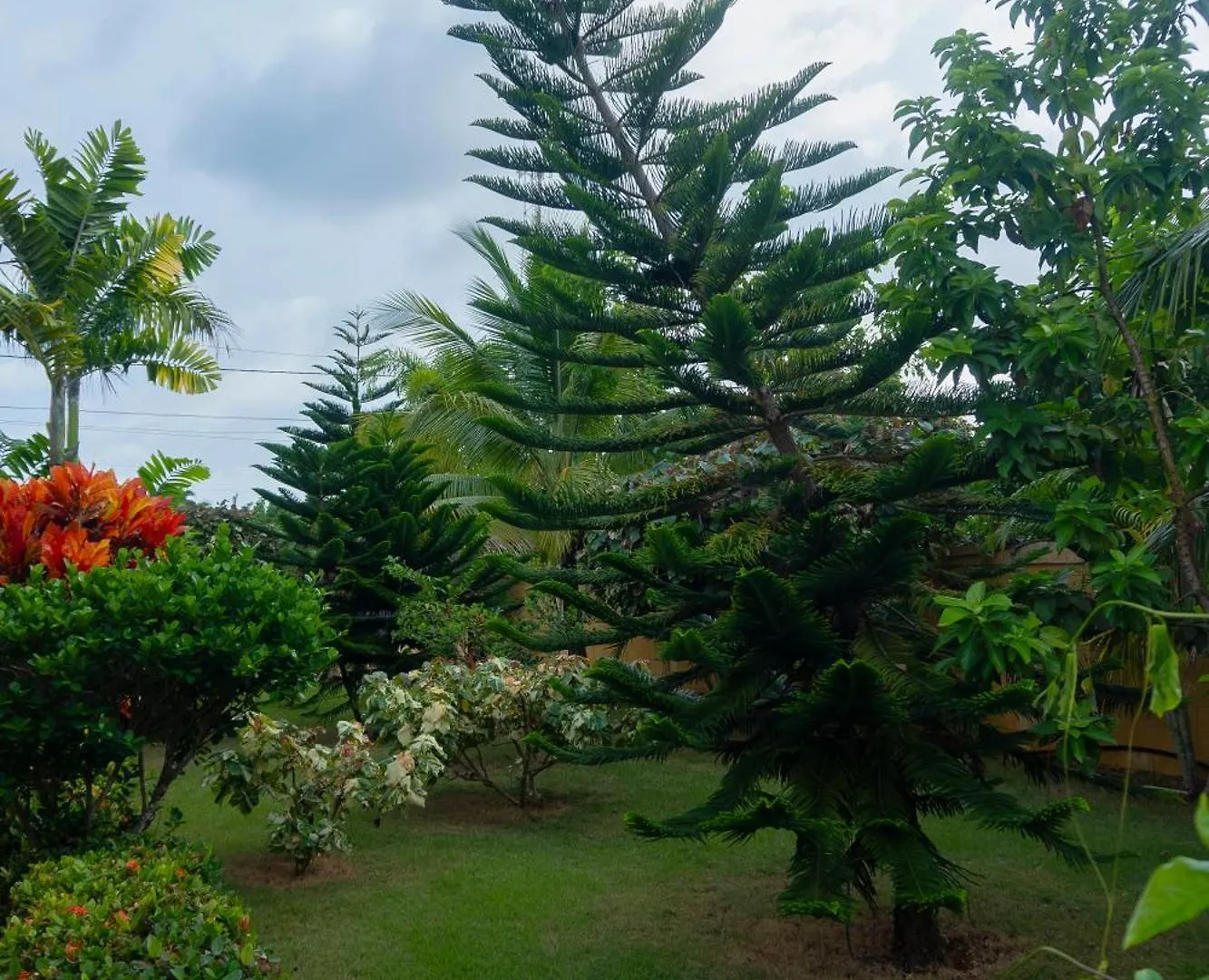 Villa Ramon Reynoso, Cabrera El Higo de las Tres Piernas
